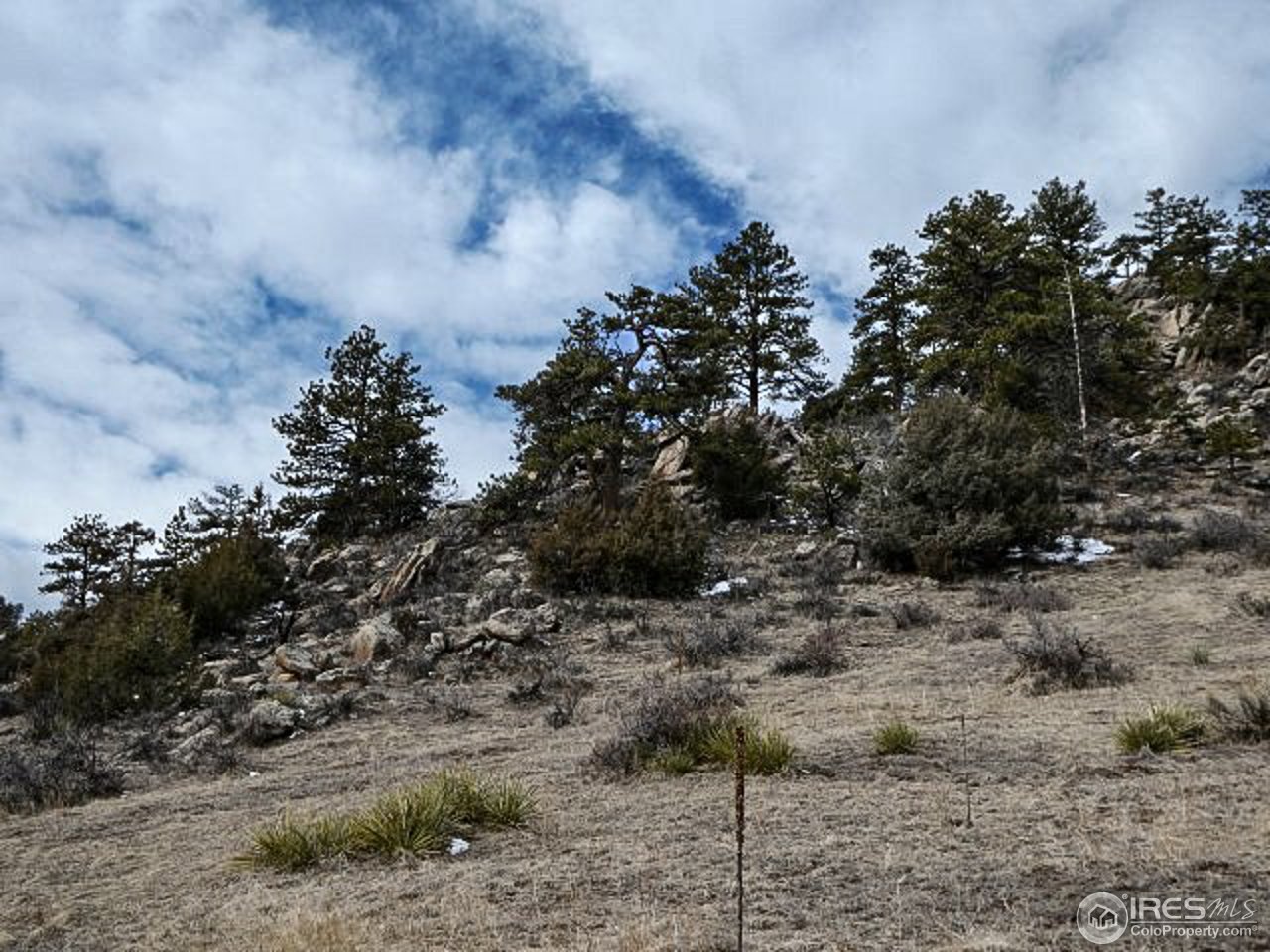 795 Eiger Road Livermore, CO 80536 - Photo 18 of 19 Gallery Image 18