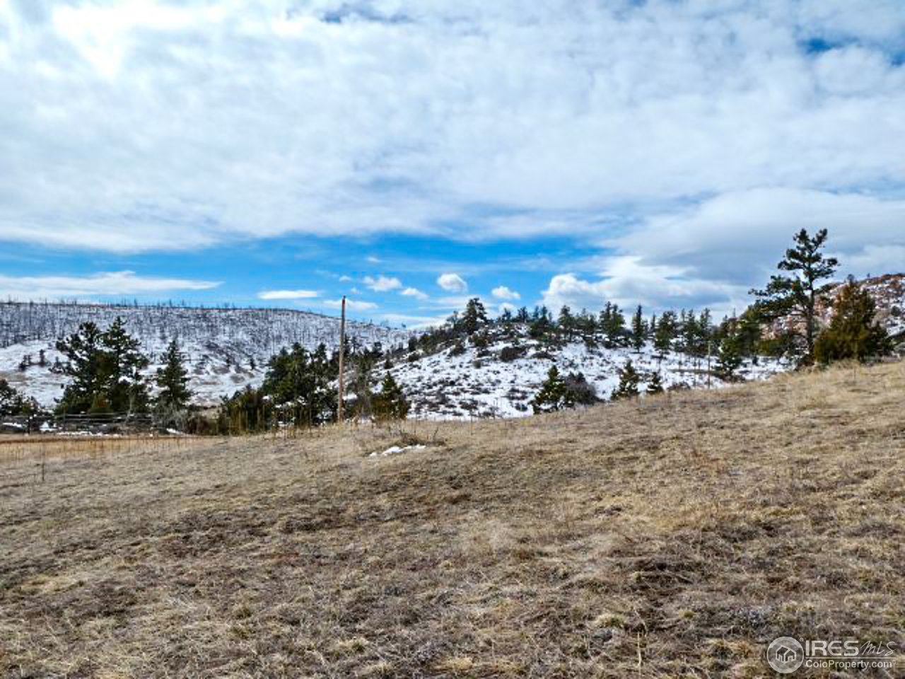 795 Eiger Road Livermore, CO 80536 - Photo 5 of 19 Gallery Image 5