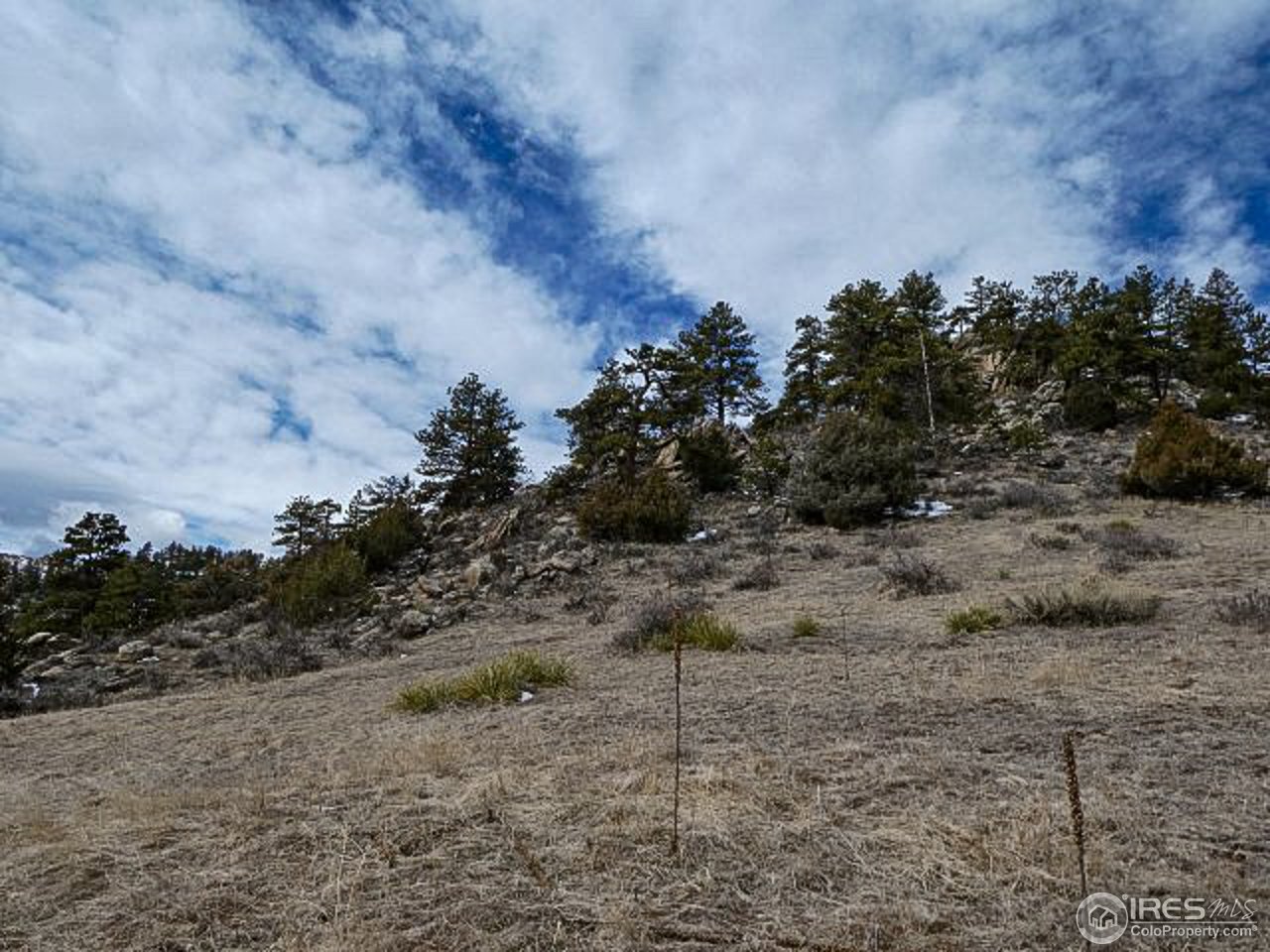 795 Eiger Road Livermore, CO 80536 - Photo 6 of 19 land and rock outcrop