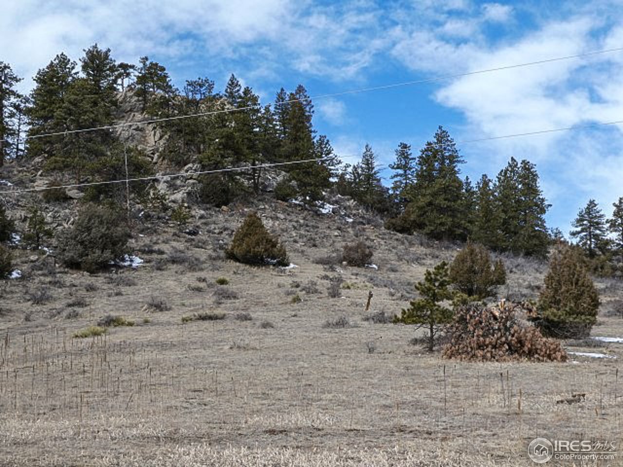 795 Eiger Road Livermore, CO 80536 - Photo 7 of 19 Gallery Image 7
