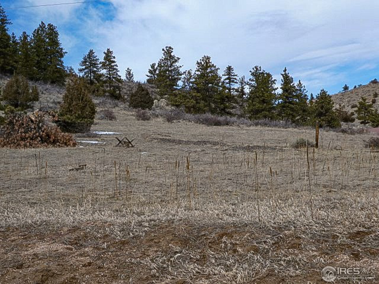 795 Eiger Road Livermore, CO 80536 - Photo 8 of 19 great horse property!