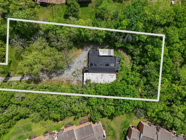 a view of a yard with a forest