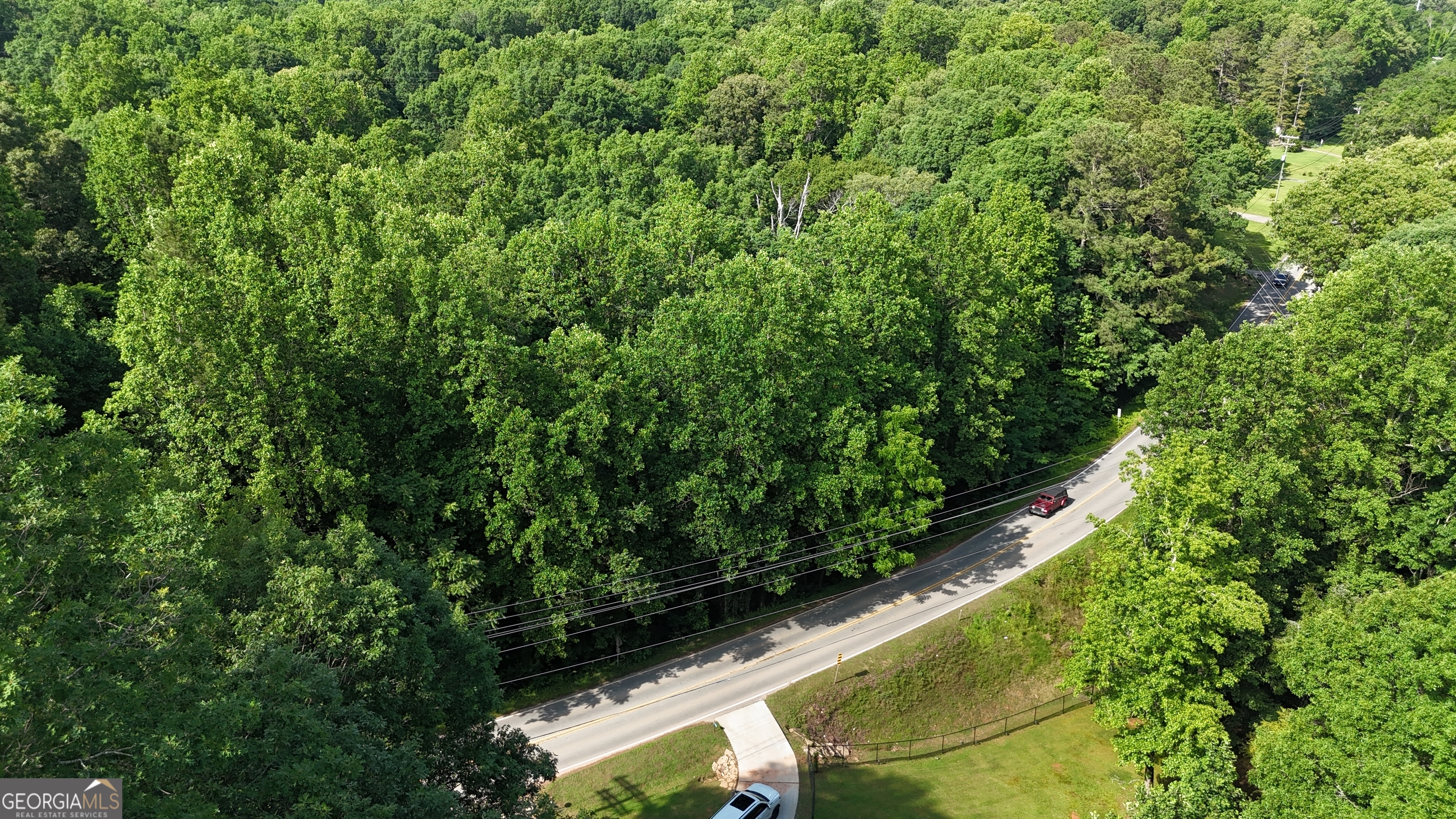 3664 Ledan Road Gainesville, GA 30506 - Photo 6 of 7 a view of a yard with plants