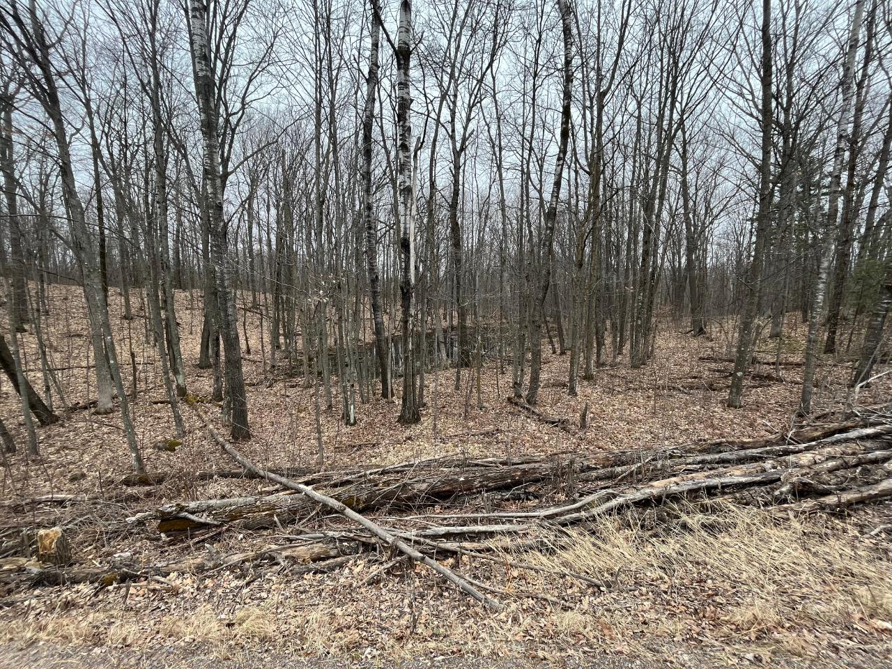 On On Other Shell Lake Shell Lake, WI 54871 - Photo 7 of 10 Gallery Image 7