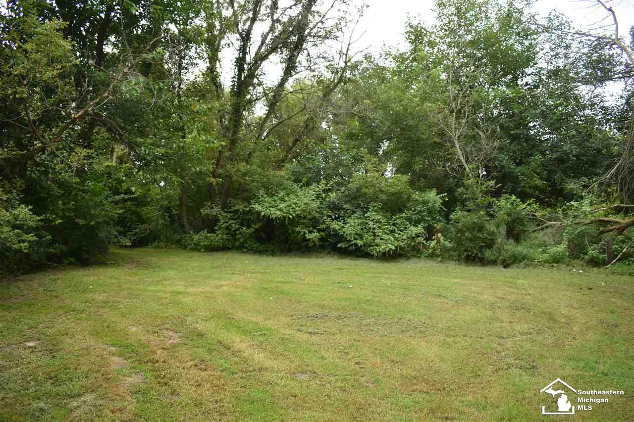 11501 Dixon Road Monroe, MI 48161 - Photo 41 of 50 50052852-40.JPG