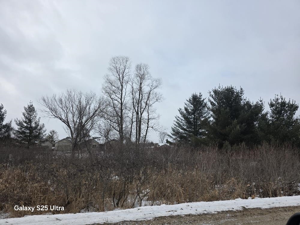 Lot 551 Hockaday Road, Unit HOCKADAY & DORMIE DR Gladwin, MI 48624 - Photo 8 of 11