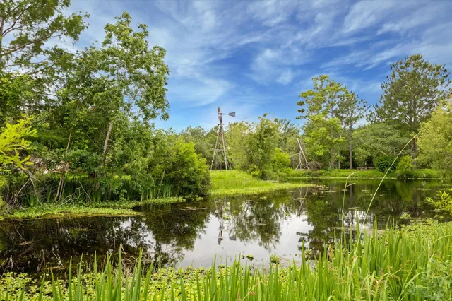 a view of a garden with plants