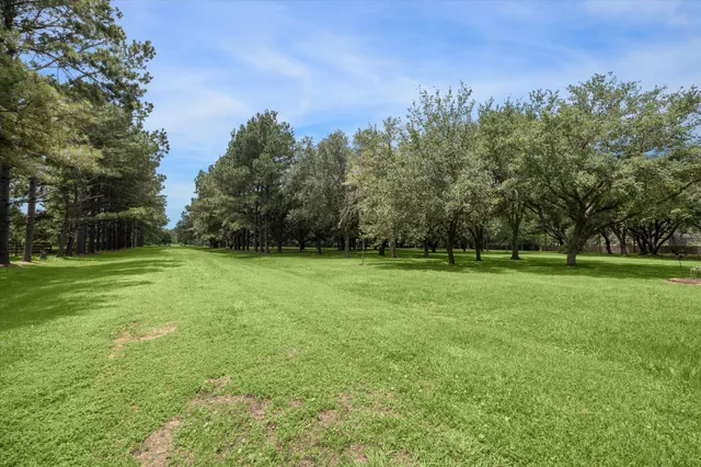 a view of outdoor space with deck and yard