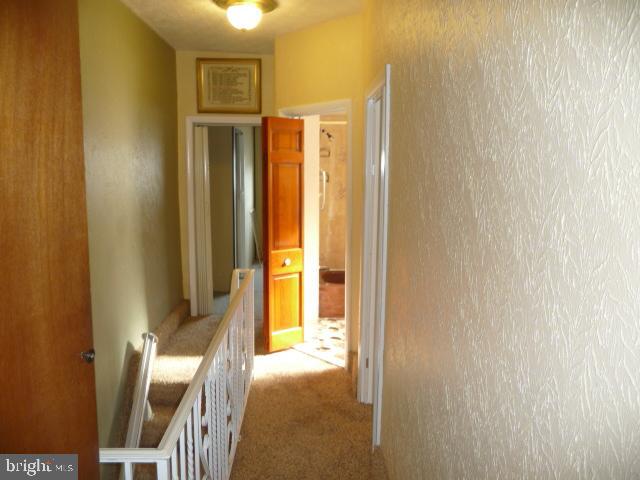 238 Tree Street Philadelphia, PA 19148 - Photo 17 of 25