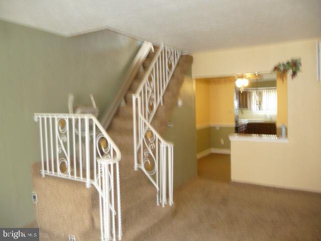 238 Tree Street Philadelphia, PA 19148 - Photo 22 of 25