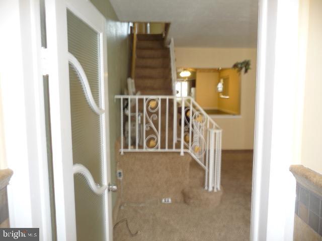 238 Tree Street Philadelphia, PA 19148 - Photo 5 of 25