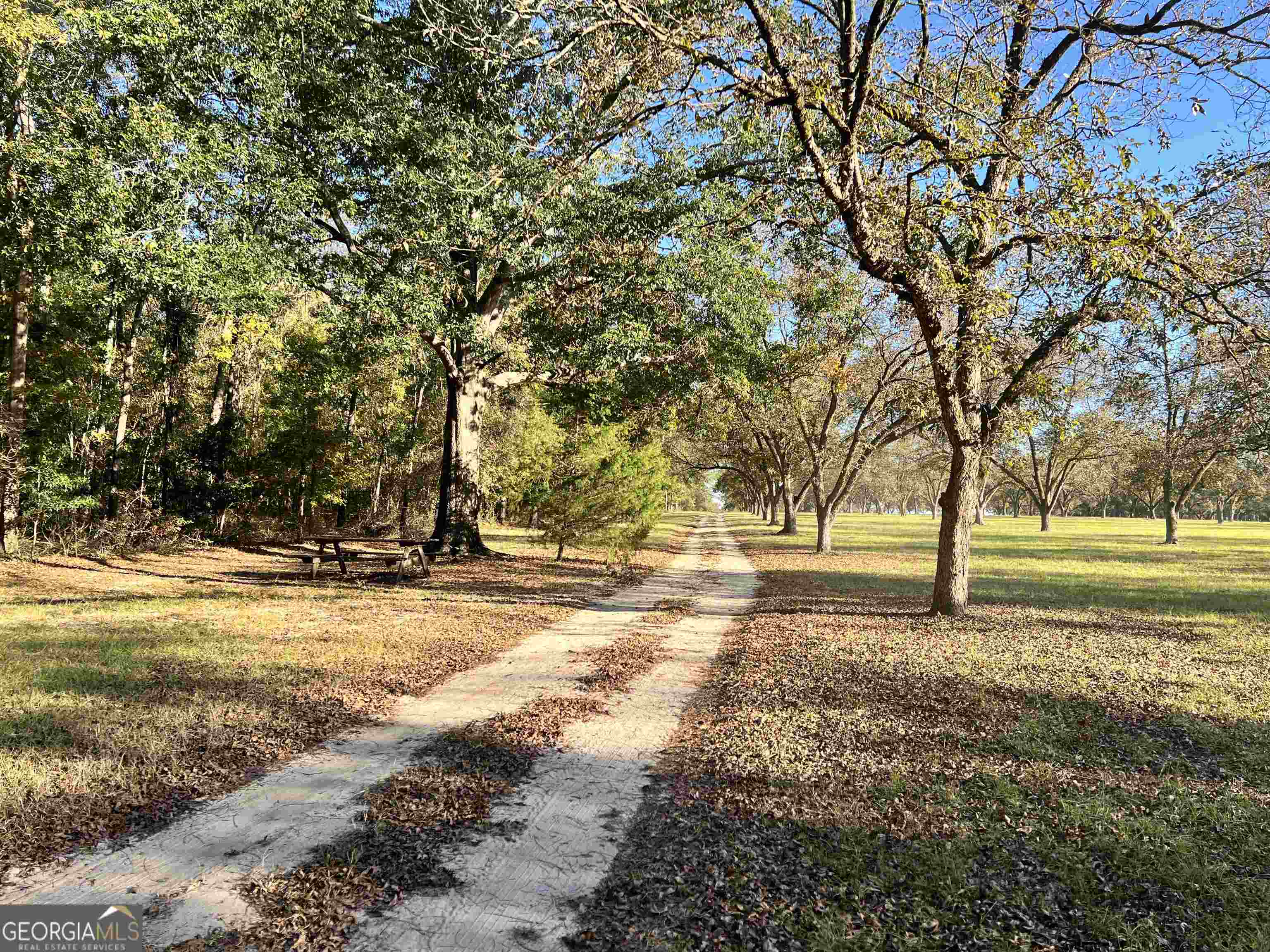 2382 Gallimore Mill Road Jeffersonville, GA 31044 - Photo 76 of 122