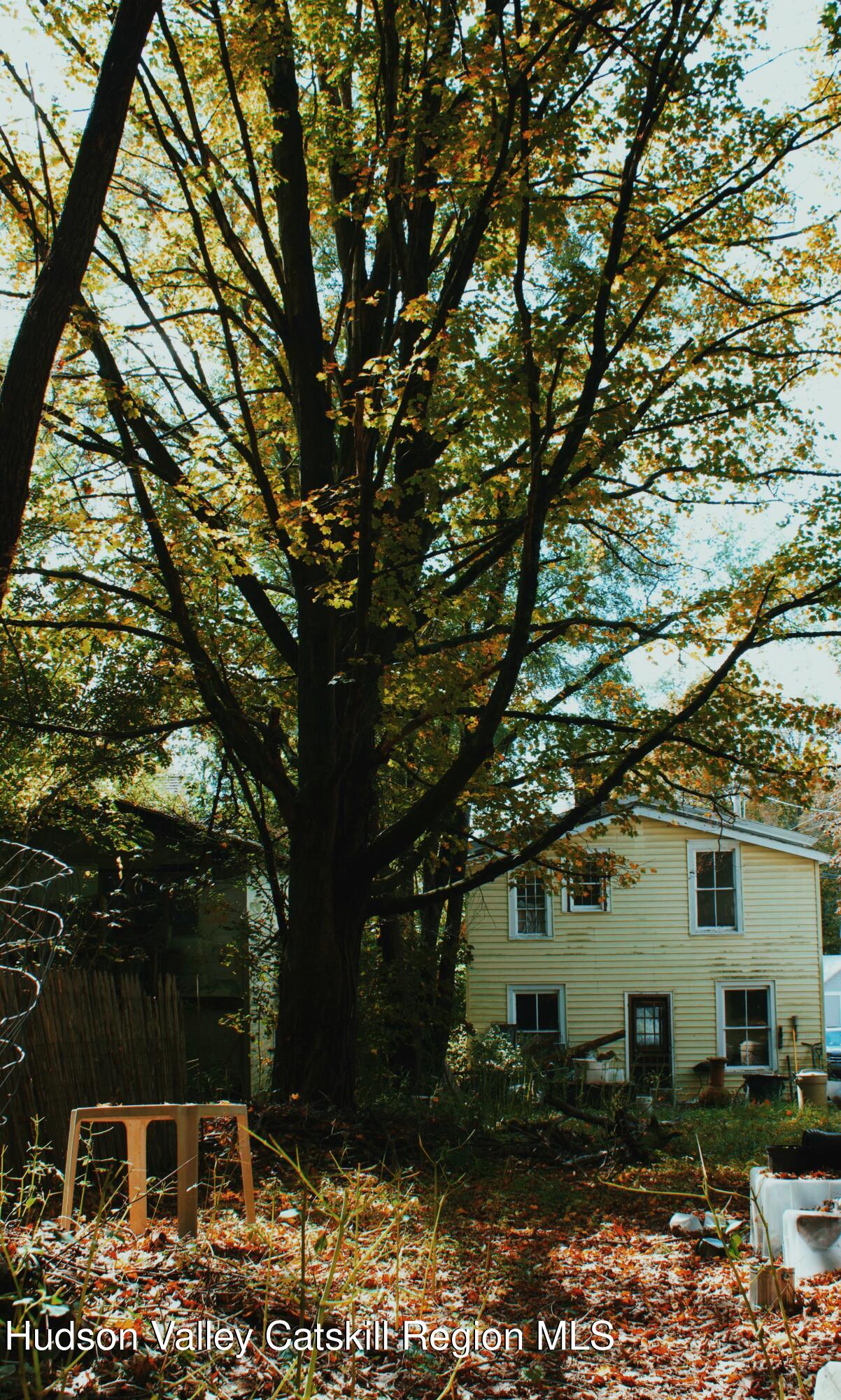 564 Main Street Cairo, NY 12413 - Photo 6 of 27 a front view of a house with a yard