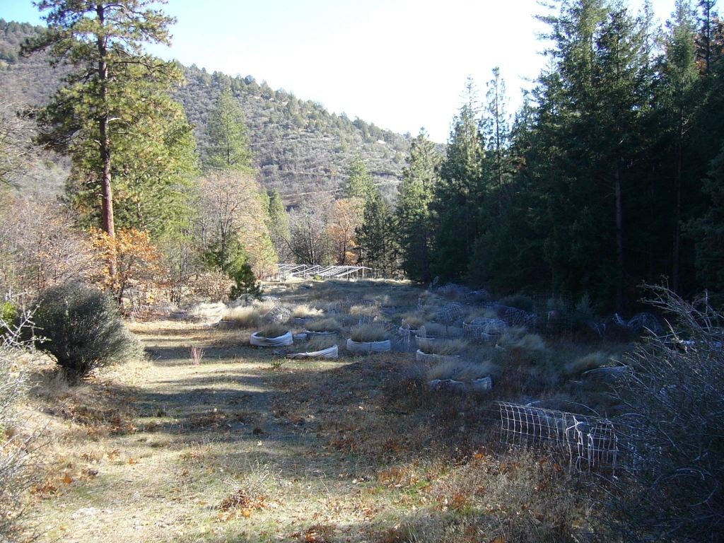 20 Acres Scarface Road Gazelle, CA 96034 - Photo 34 of 34 Gallery Image 34