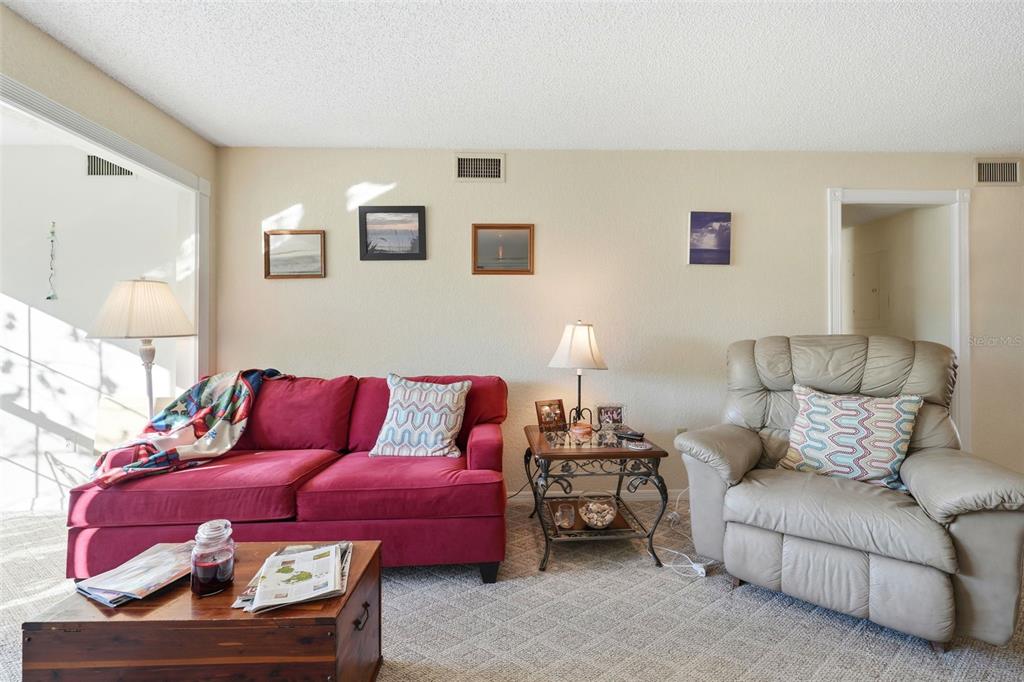 110 North Tremain Street, Unit 109 Mount Dora, FL 32757 - Photo 13 of 45 a living room with furniture and a couch