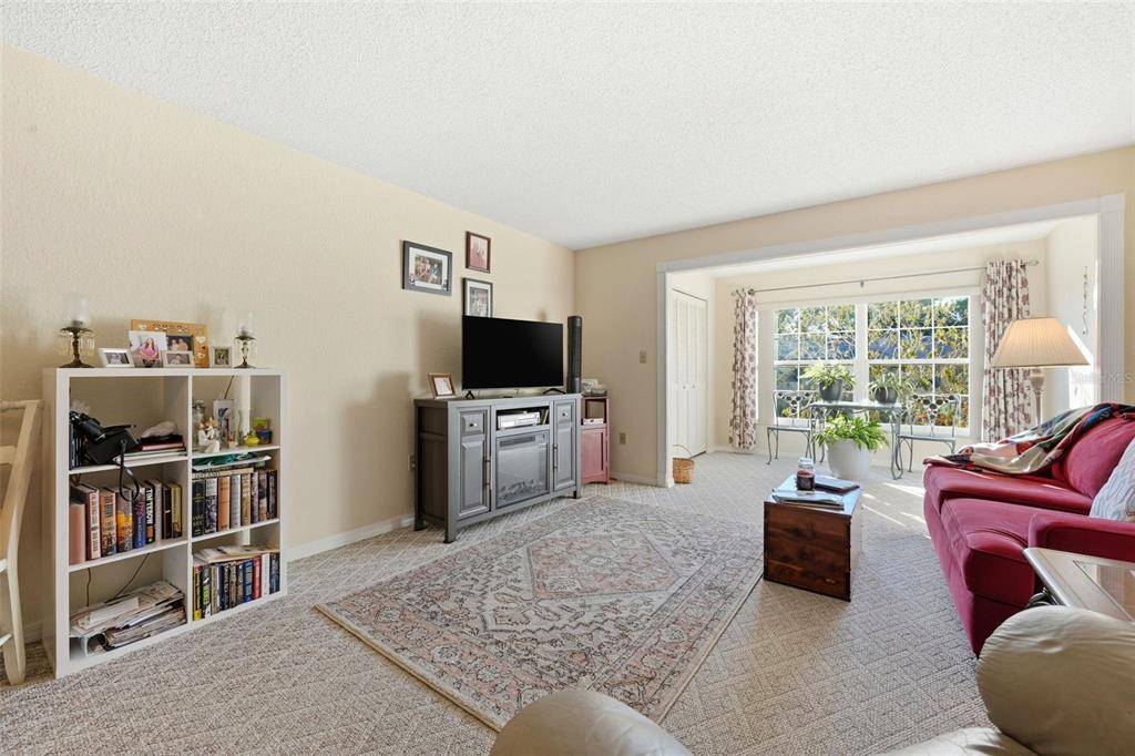 110 North Tremain Street, Unit 109 Mount Dora, FL 32757 - Photo 15 of 45 a living room with furniture and a flat screen tv