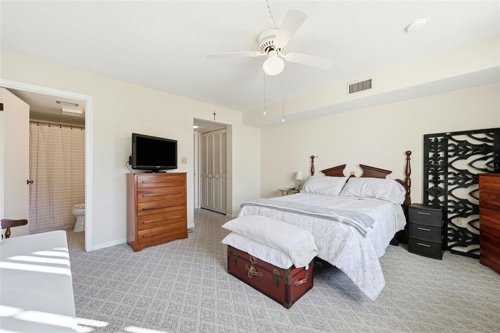 110 North Tremain Street, Unit 109 Mount Dora, FL 32757 - Photo 19 of 45 a spacious bedroom with a bed and a flat screen tv