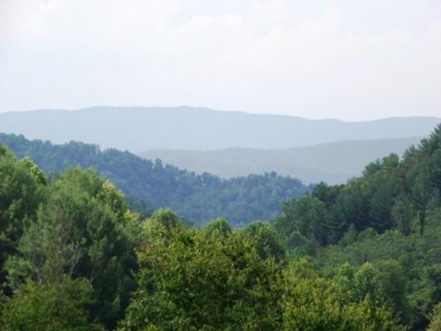 576 Harbor Point Road Butler, TN 37640 - Photo 48 of 51 MORE MOUNTAIN VIEWS