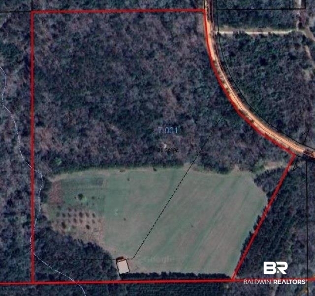 0 Langham Road Repton, AL 36475 - Photo 8 of 8