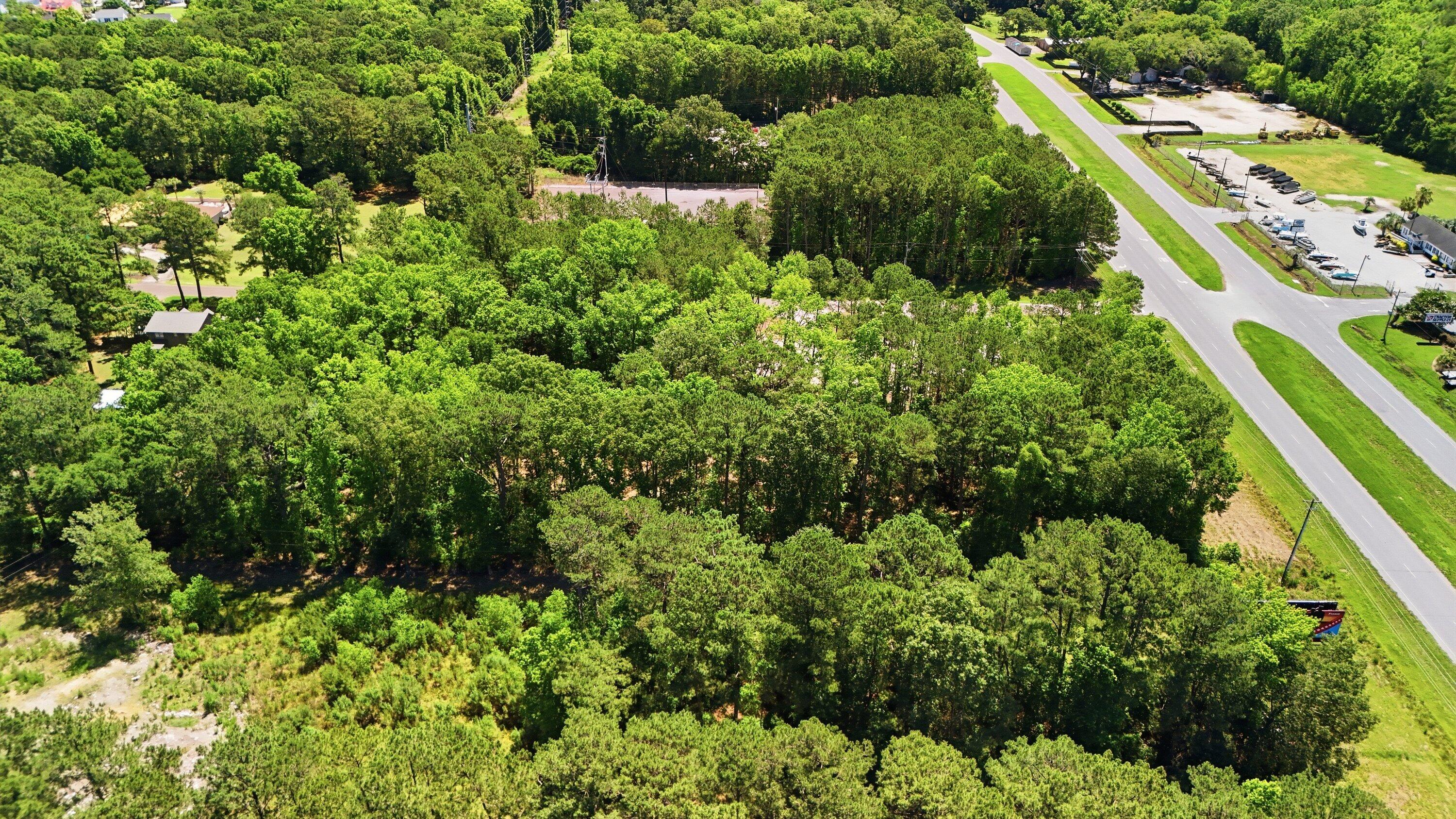 6023 Postell Drive Ravenel, SC 29470 - Photo 9 of 19