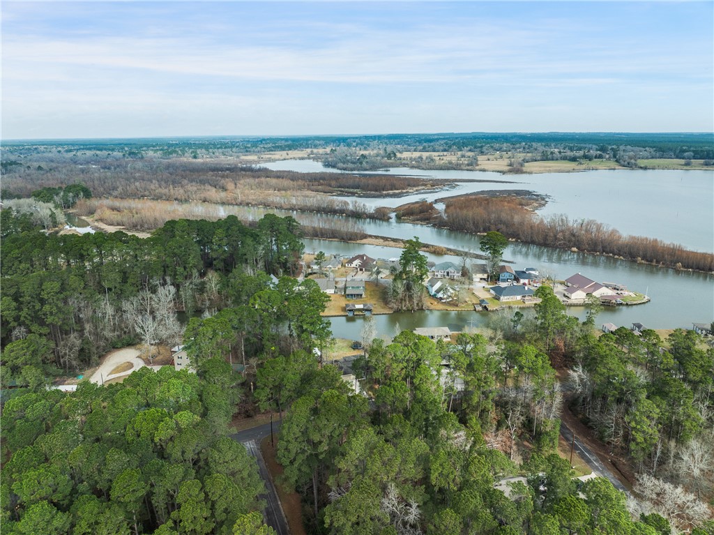70 Lakeside Drive Trinity, TX 75862 - Photo 32 of 34 a view of a lake from a yard