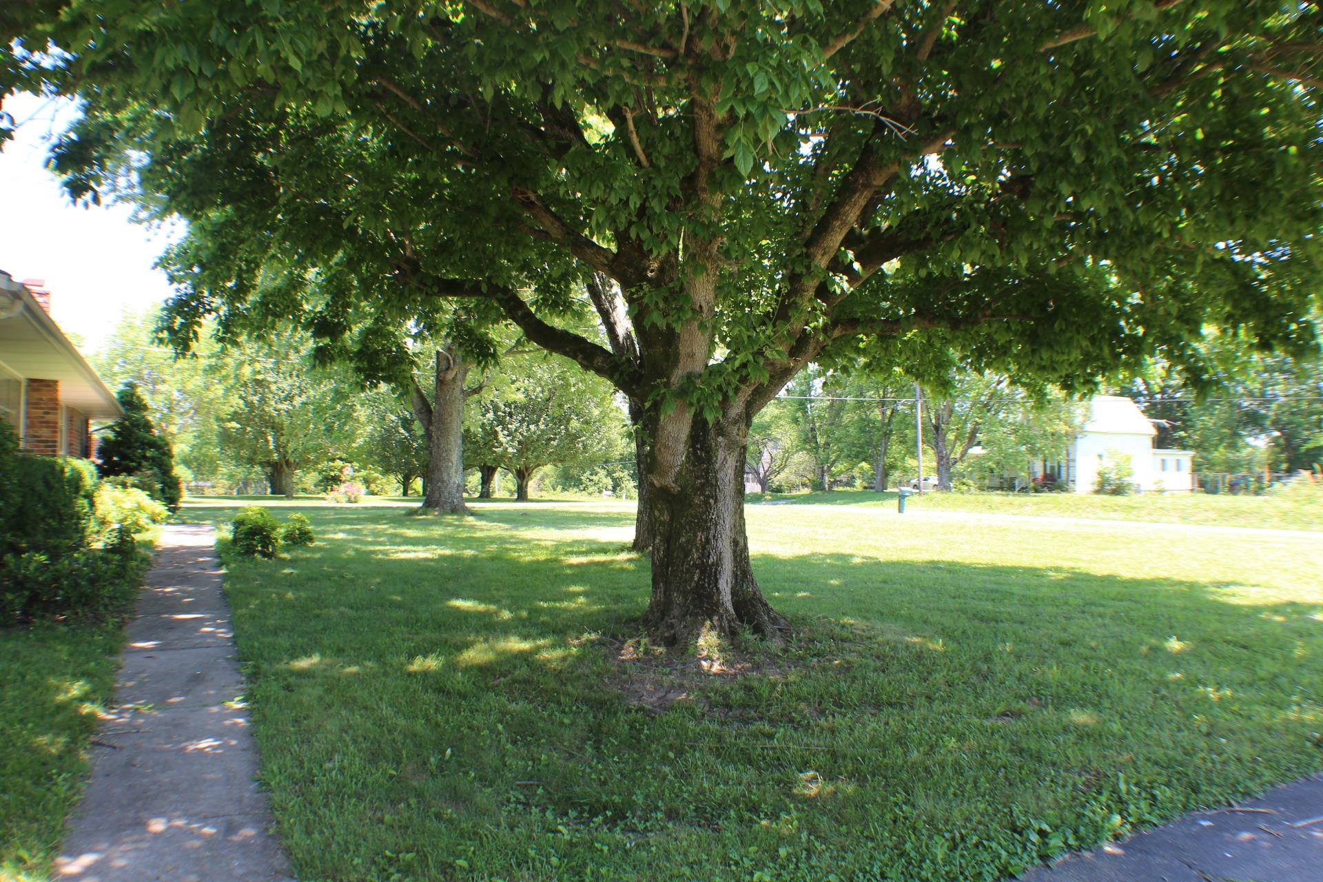 1675 Midway Road Smithville, TN 37166 - Photo 28 of 29 Gallery Image 28