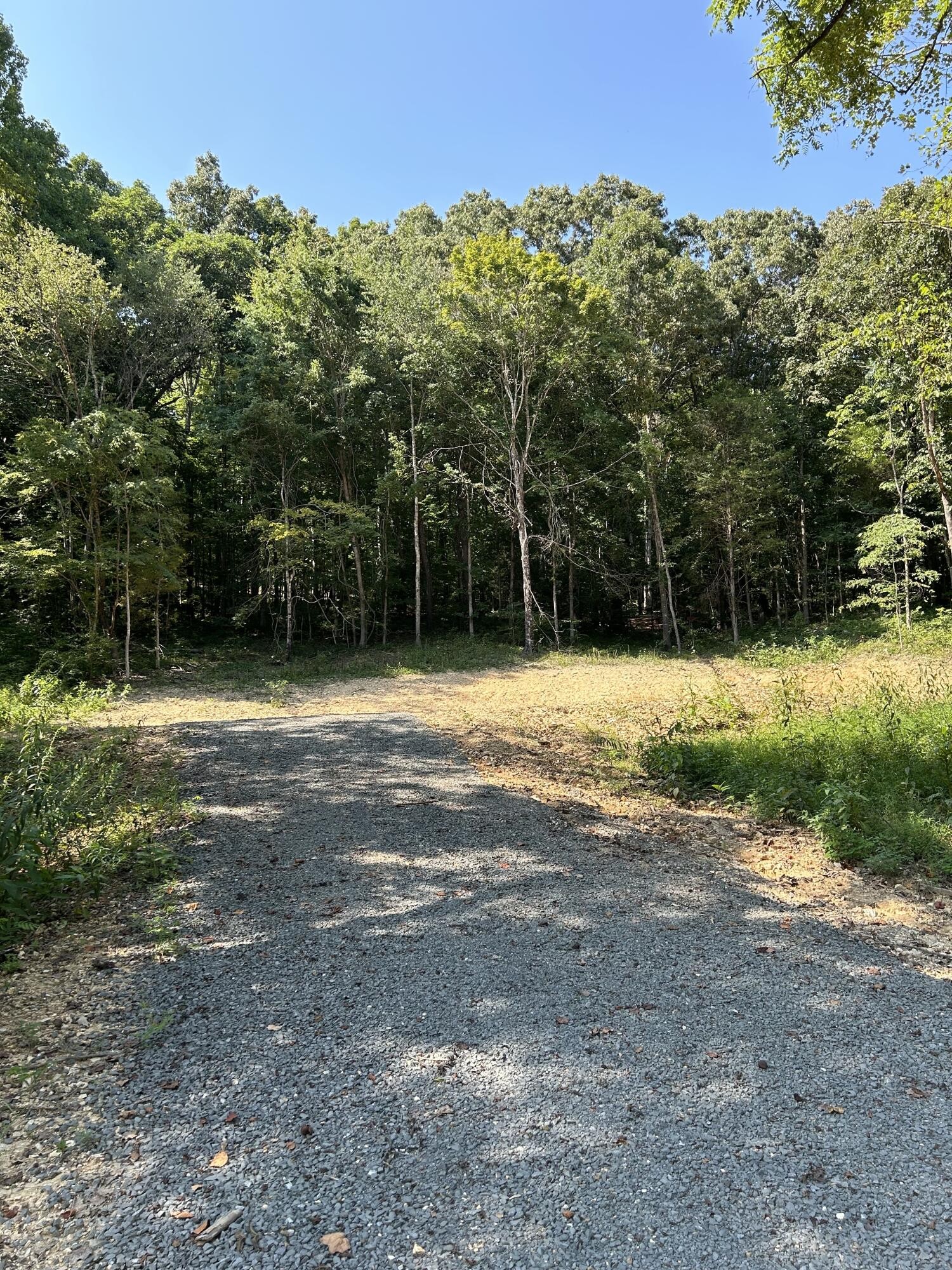 29 Co Road Riceville, TN 37370 - Photo 3 of 10 Gallery Image 3