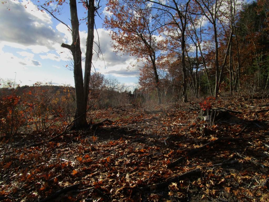 Tbd Strickland Ferry Road Wayne, ME 04284 - Photo 6 of 10 Strickland Ferry Wayne 011 (Custom) (2)