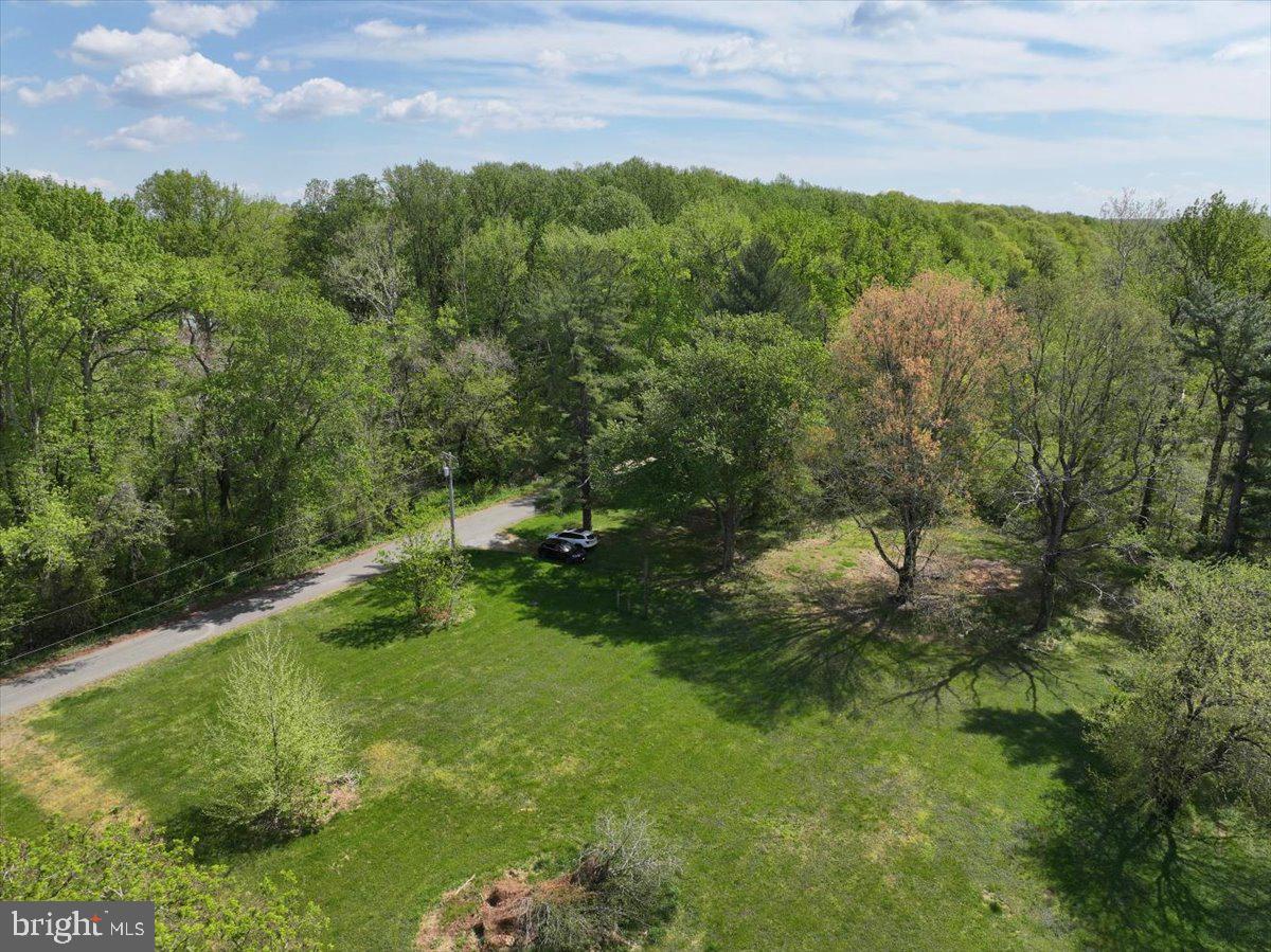 839 Crandell Road West River, MD 20778 - Photo 20 of 24 a view of a lush green forest with lots of trees