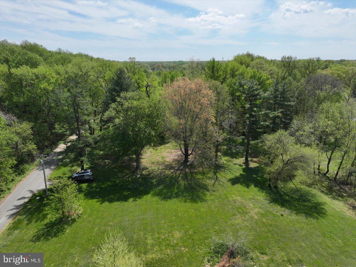 839 Crandell Road West River, MD 20778 - Photo 22 of 24 a view of a lush green forest with lots of trees