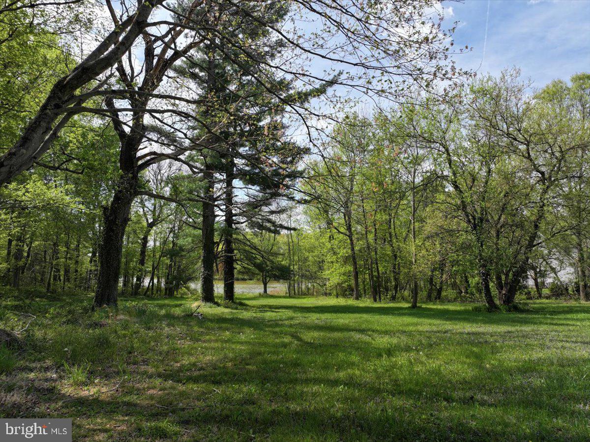 839 Crandell Road West River, MD 20778 - Photo 8 of 24 a view of park space