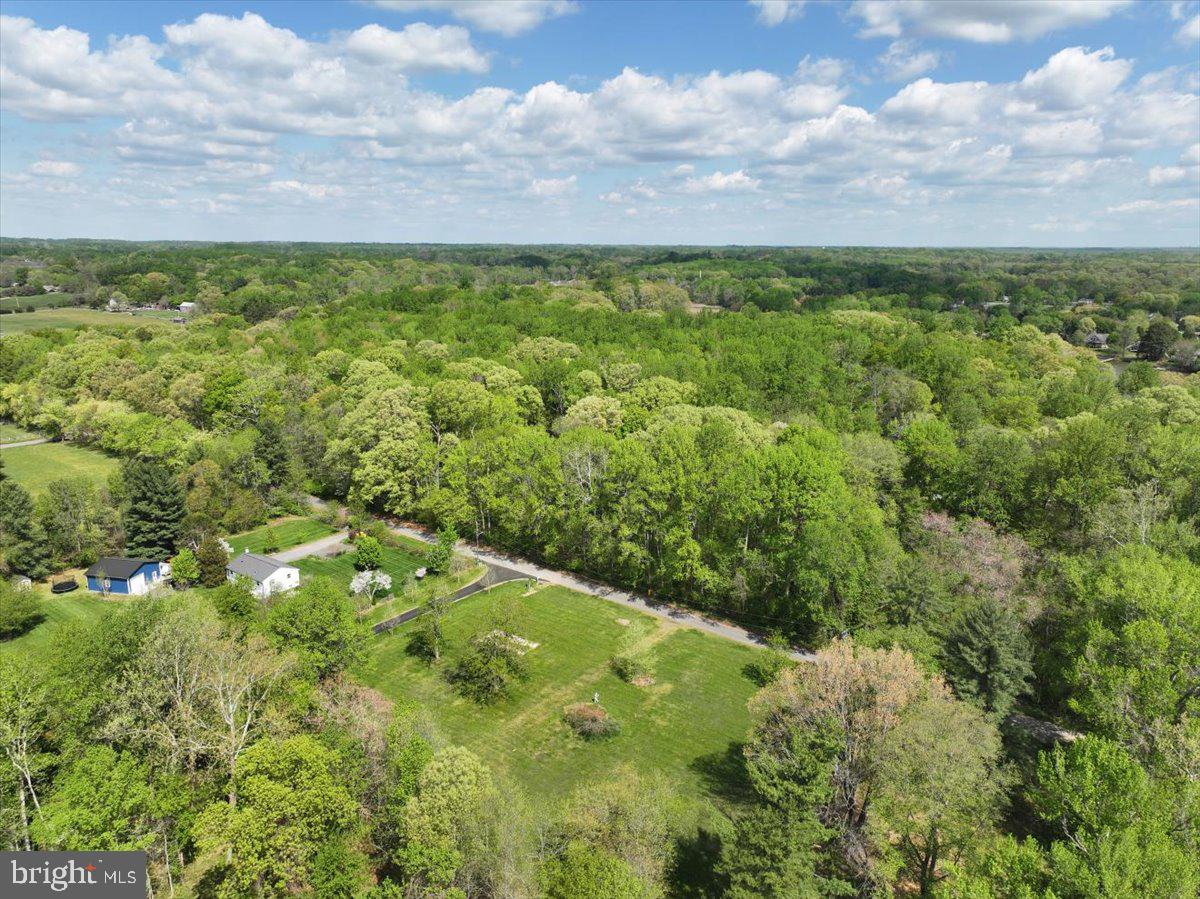 839 Crandell Road West River, MD 20778 - Photo 10 of 24 a view of a bunch of trees