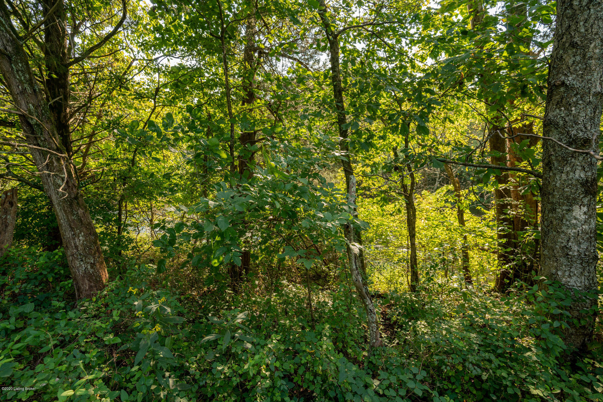 100 Deer Run Road Coxs Creek, KY 40013 - Photo 9 of 32 451 Deer Run Rd Coxs Creek KY 40013 (8 o