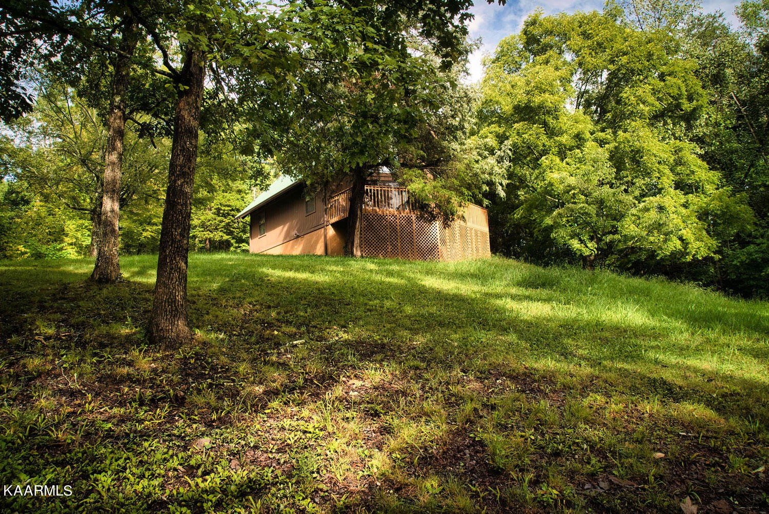 2356 Black Oak Ridge Road Sevierville, TN 37876 - Photo 27 of 33 a view of a back yard