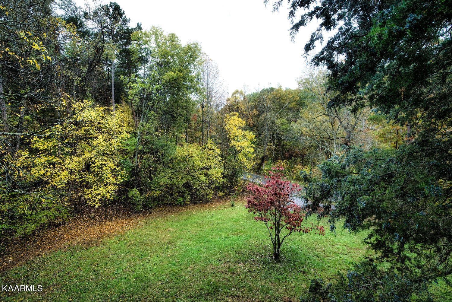 2356 Black Oak Ridge Road Sevierville, TN 37876 - Photo 30 of 33 a view of a garden with a tree