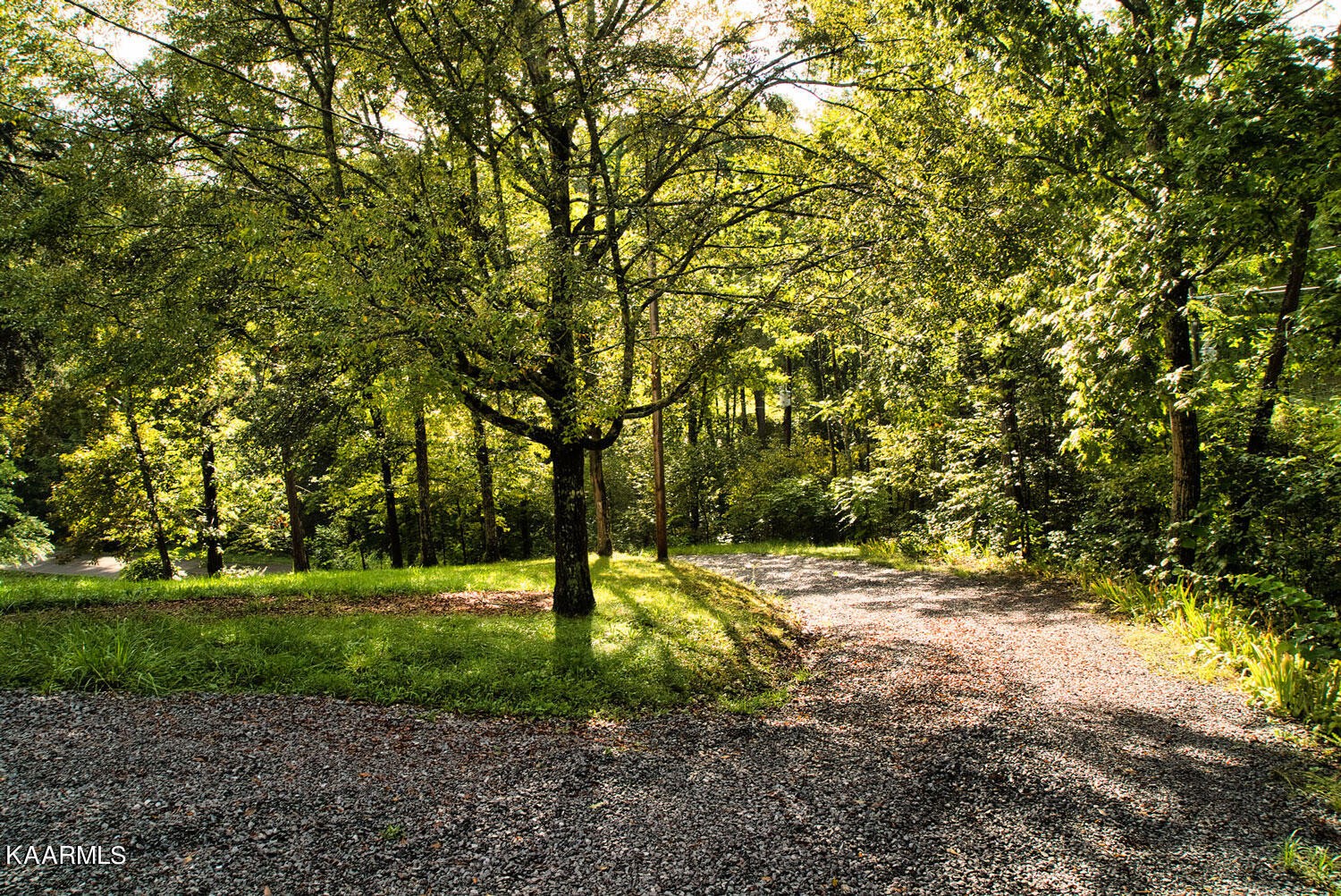 2356 Black Oak Ridge Road Sevierville, TN 37876 - Photo 4 of 33 a backyard of a house with a trees