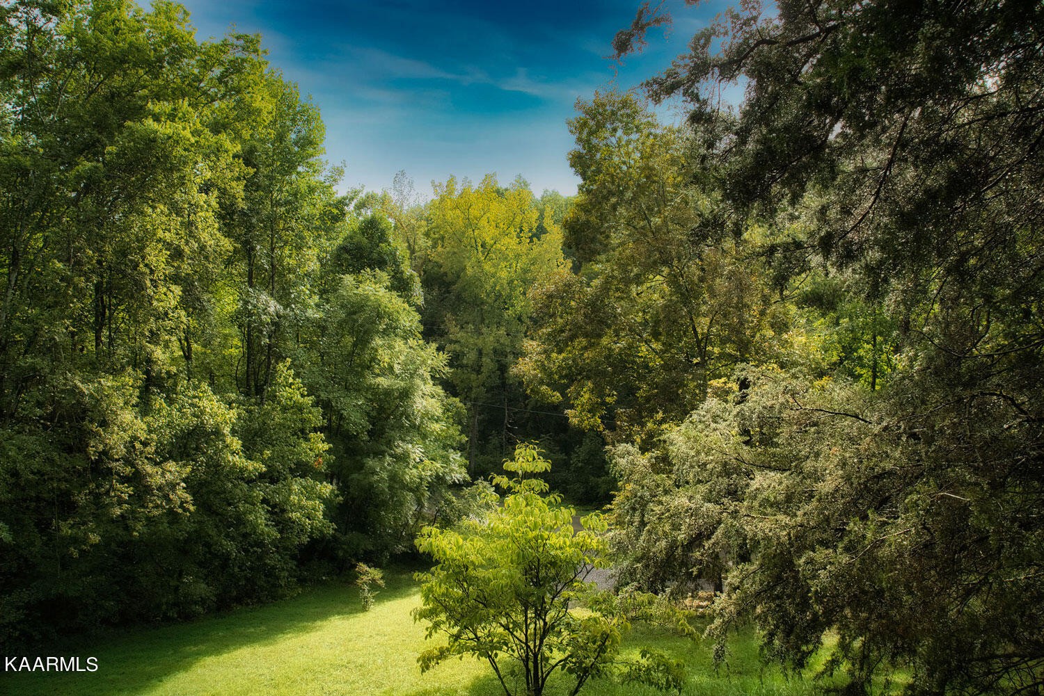 2356 Black Oak Ridge Road Sevierville, TN 37876 - Photo 5 of 33 a view of a garden