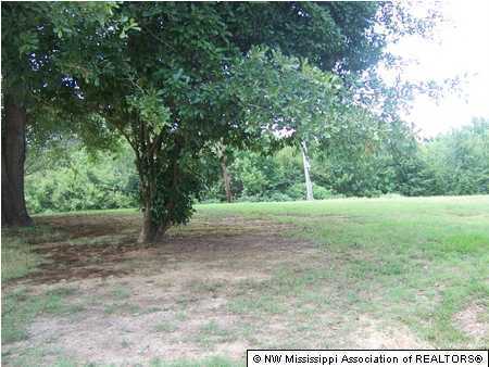 14277 French Road Byhalia, MS 38611 - Photo 3 of 3 Additional Photo