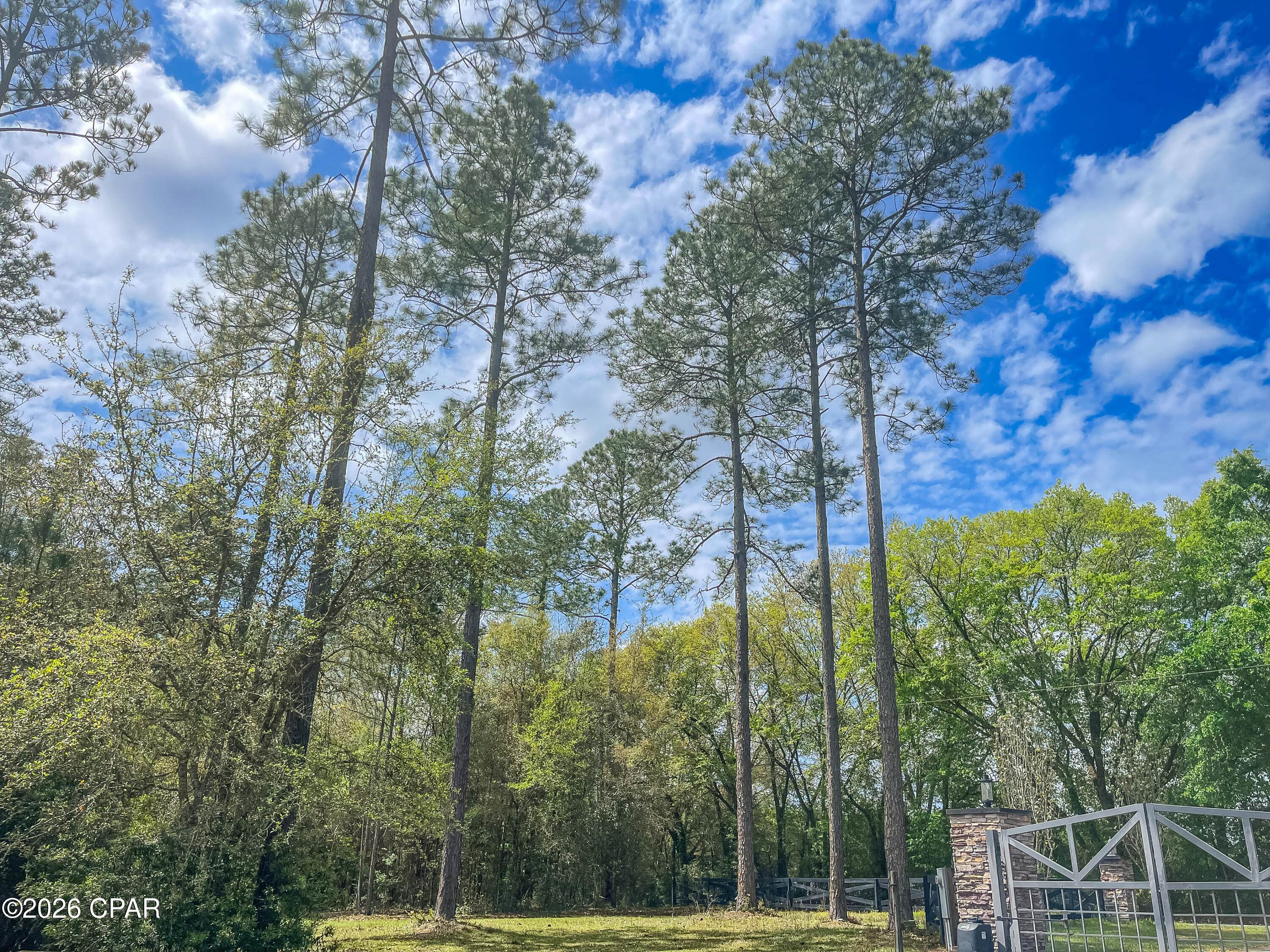 4 Cypress Crossing Road Vernon, FL 32462 - Photo 7 of 15