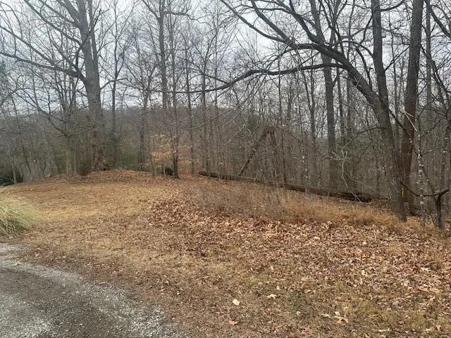 $39,900 | 0 Ridge Drive, Goodview, VA 24095