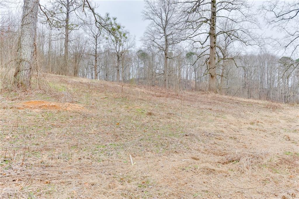 0 Hendrix Road Cumming, GA 30040 - Photo 13 of 28 a backyard of a house