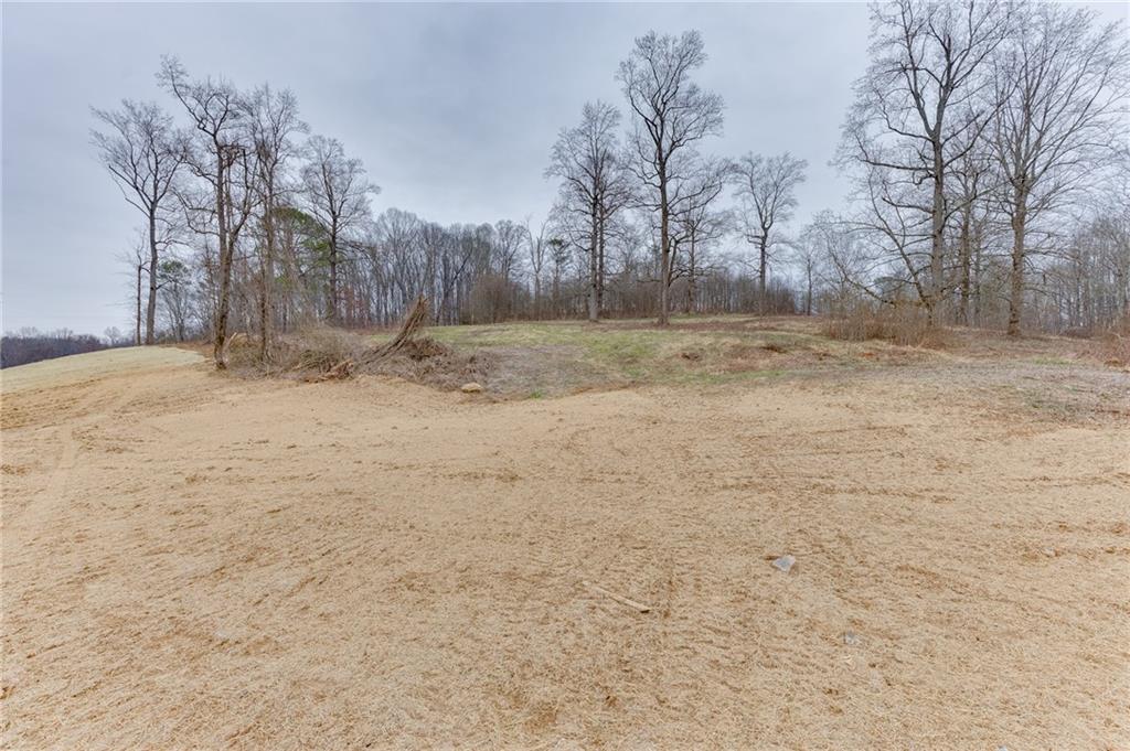 0 Hendrix Road Cumming, GA 30040 - Photo 17 of 28 a view of yard covered with snow