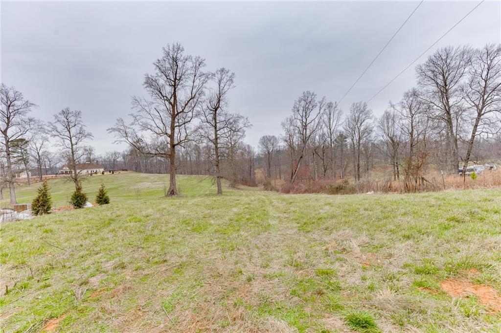 0 Hendrix Road Cumming, GA 30040 - Photo 2 of 28 a view of yard with tree