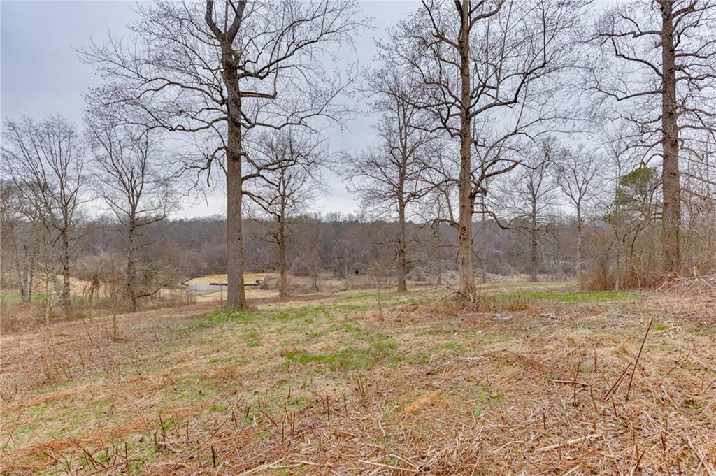 0 Hendrix Road Cumming, GA 30040 - Photo 3 of 28 a backyard of a house with large trees