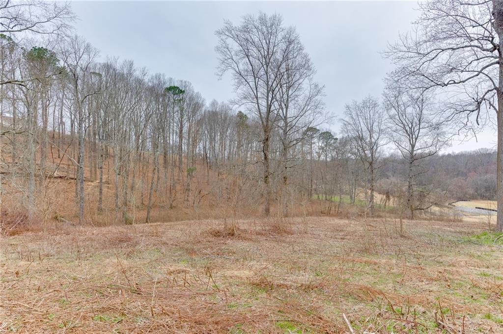 0 Hendrix Road Cumming, GA 30040 - Photo 4 of 28 a view of outdoor space with wooden fence