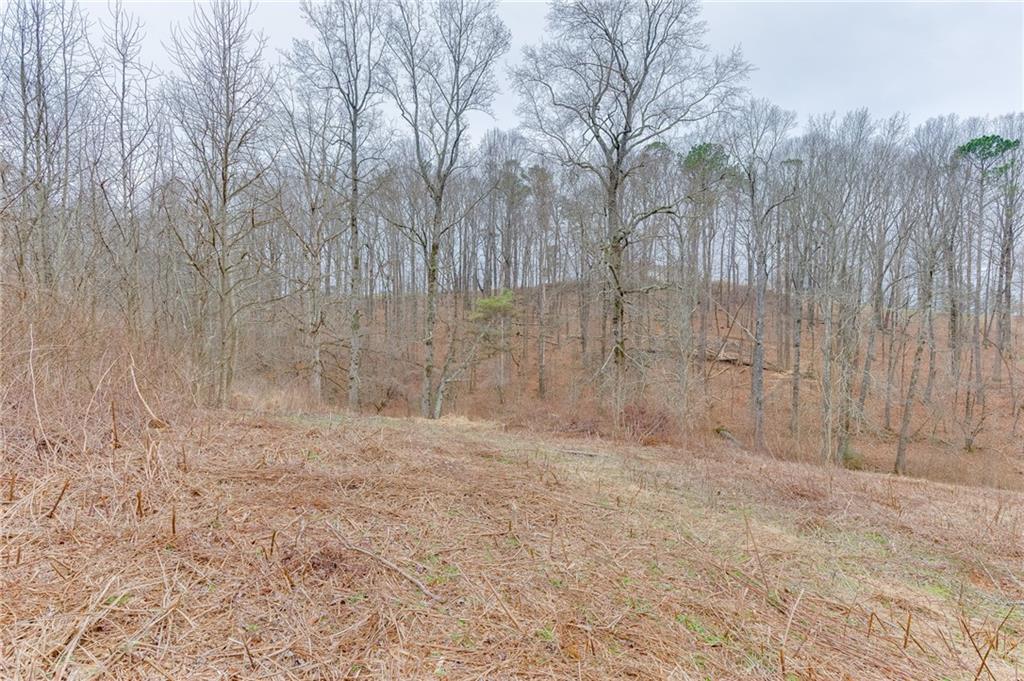 0 Hendrix Road Cumming, GA 30040 - Photo 5 of 28 a view of a dry yard with trees in the background