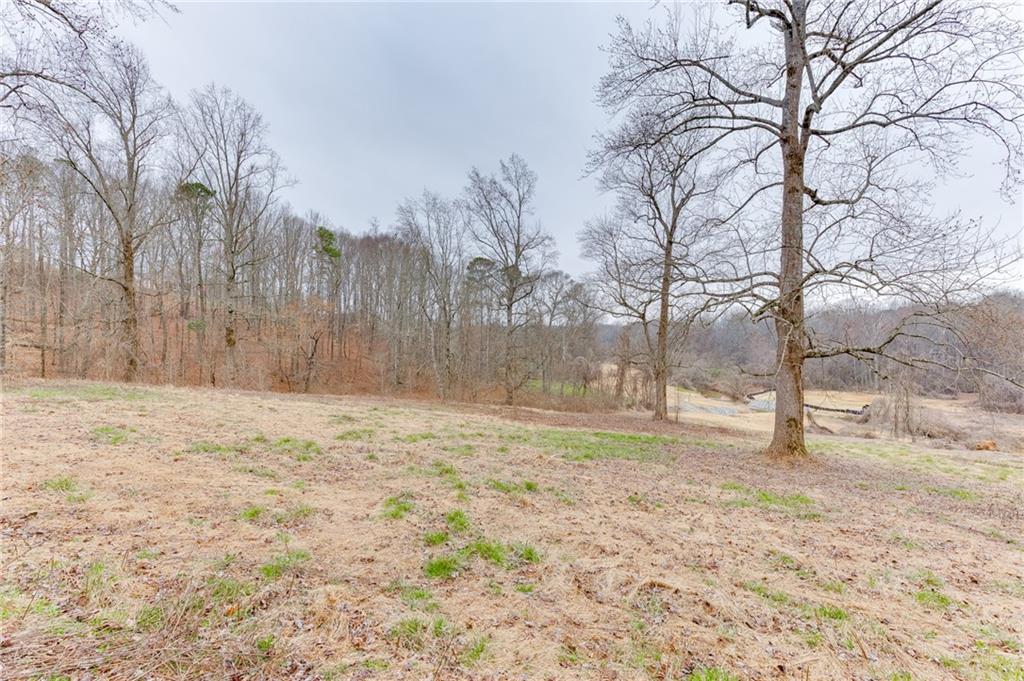 0 Hendrix Road Cumming, GA 30040 - Photo 7 of 28 a backyard of a house