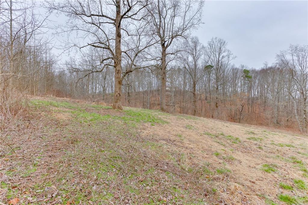 0 Hendrix Road Cumming, GA 30040 - Photo 8 of 28 a backyard of a house with a trees