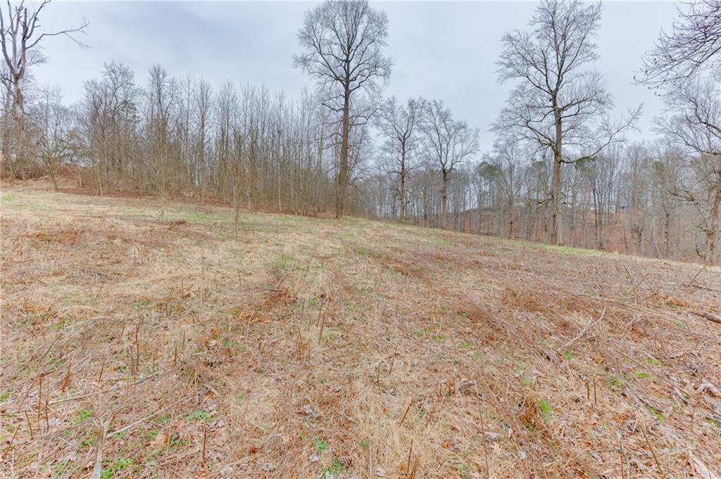 0 Hendrix Road Cumming, GA 30040 - Photo 9 of 28 a view of a yard with trees