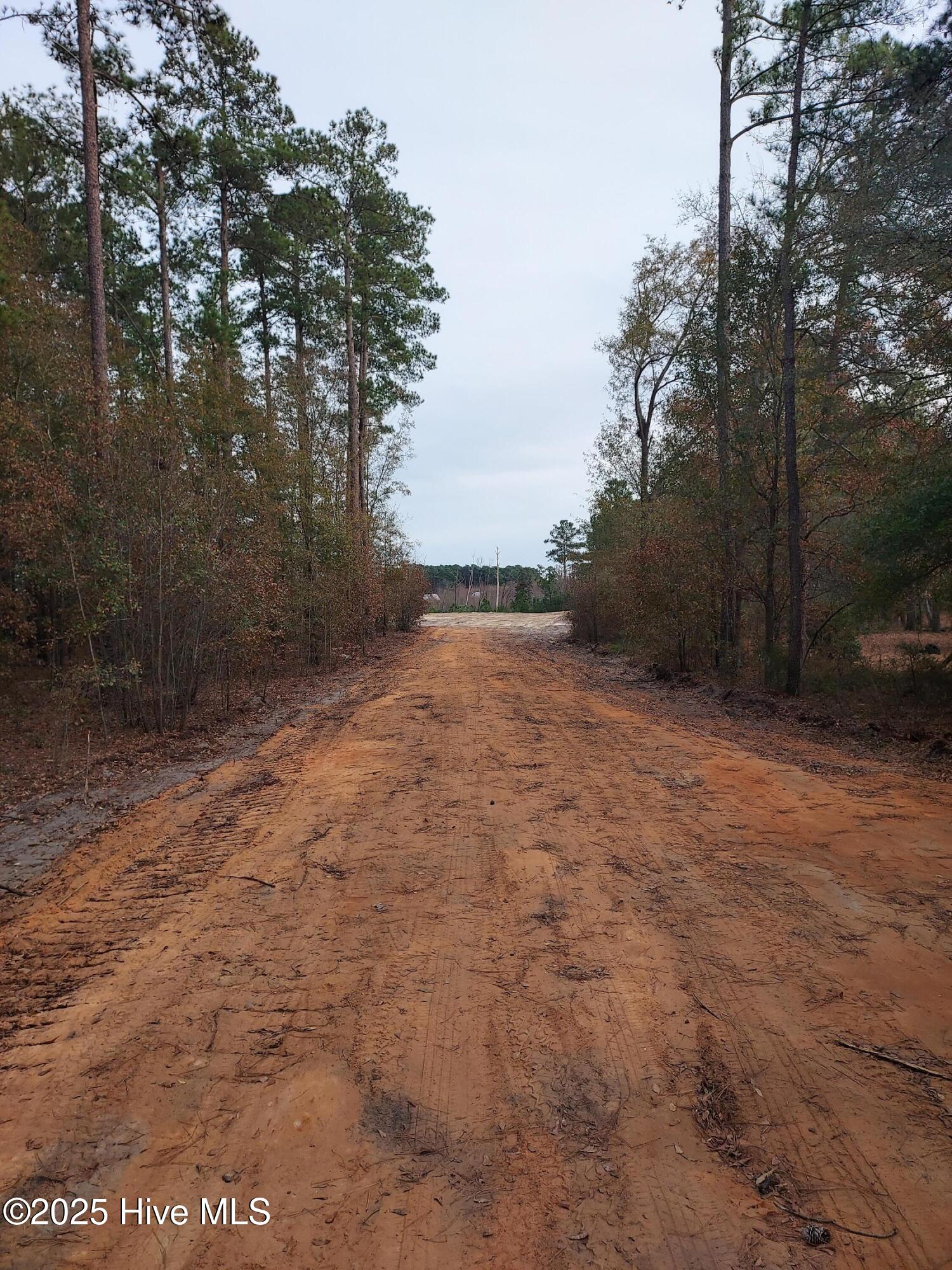 Tbd Palmer Road Marston, NC 28363 - Photo 8 of 10 1000017338